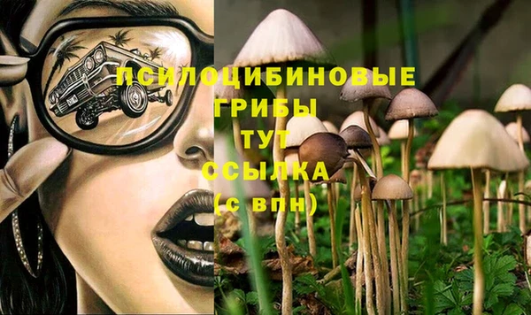 гидра Абдулино