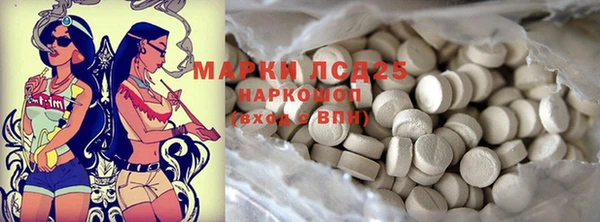 хмурый Няндома