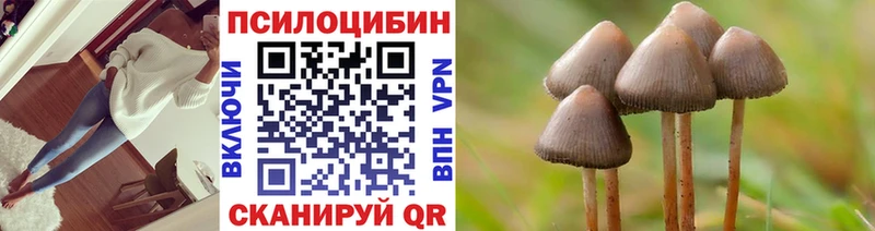 Галлюциногенные грибы Psilocybe  цены наркотик  Курлово 