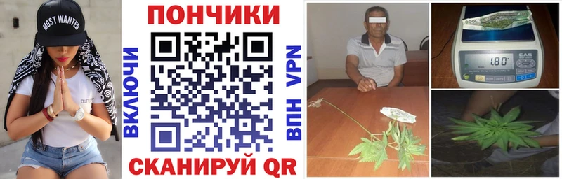 Конопля план  Курлово 